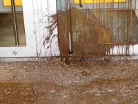 Unappetitlicher Fleck: Die Fassade des SAP-Gebäudes ist verschmutzt
