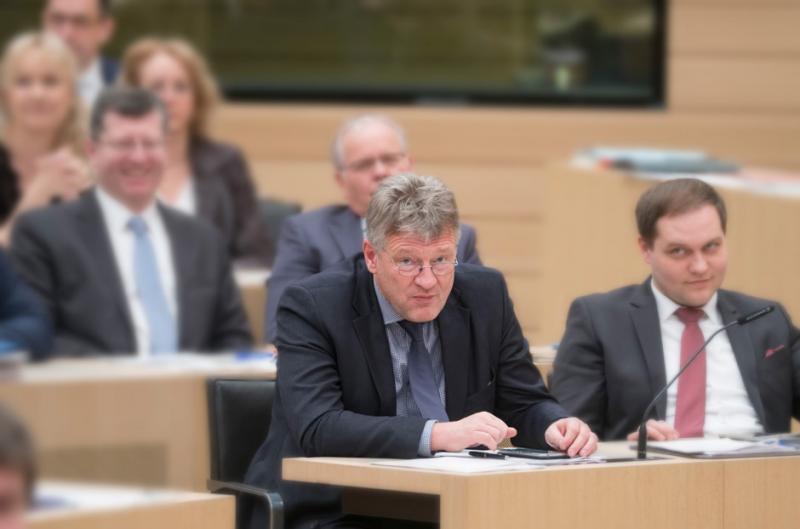 ... und er weiß von nichts: Jörg Meuthen mit der AfD-Fraktion im Stuttgarter Landtag. Fotos: Joachim E. Röttgers