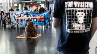 tierversuche und air france stoppen!!!