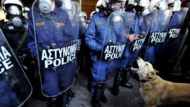 Riot Dog immer an vorderster Front