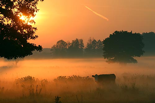 Frühherbst