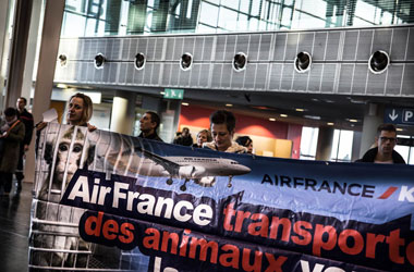 demo_gegen_air_france-klm