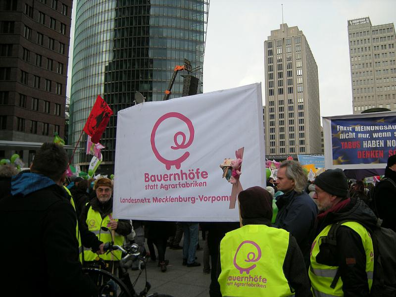 "Wir haben es satt" - Demo in Berlin 2015 15