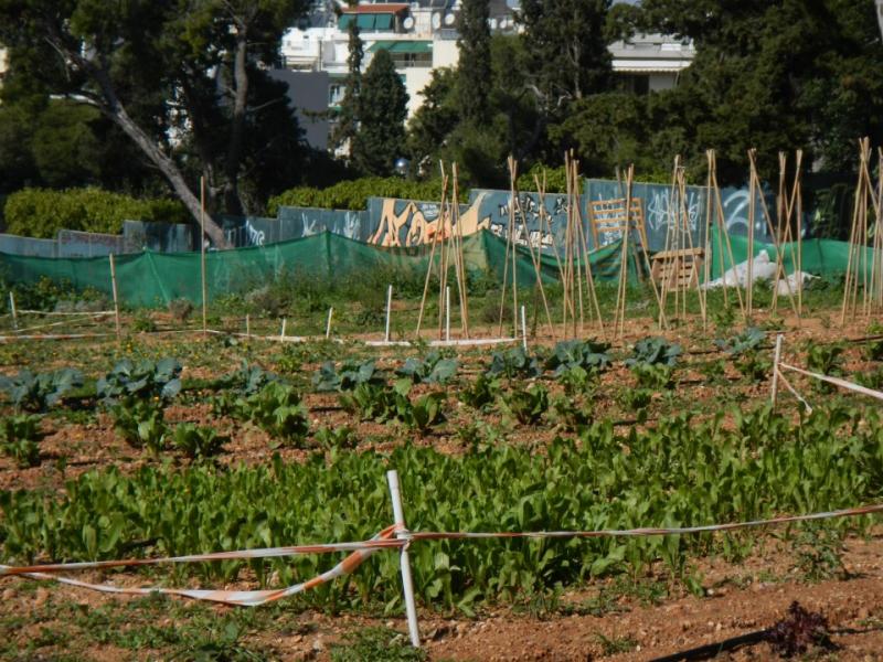 Villa Zografou (Athen, Griechenland)  4