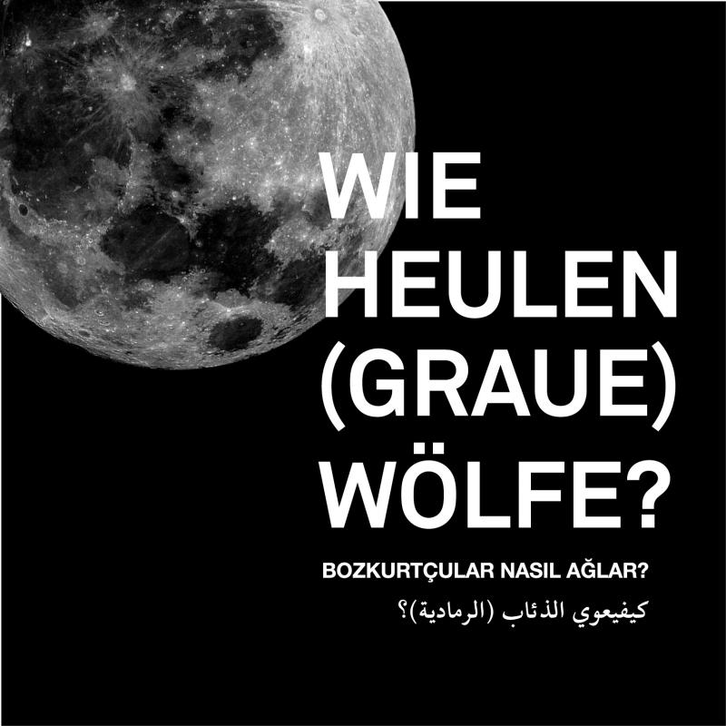 graue wölfe hn 2016