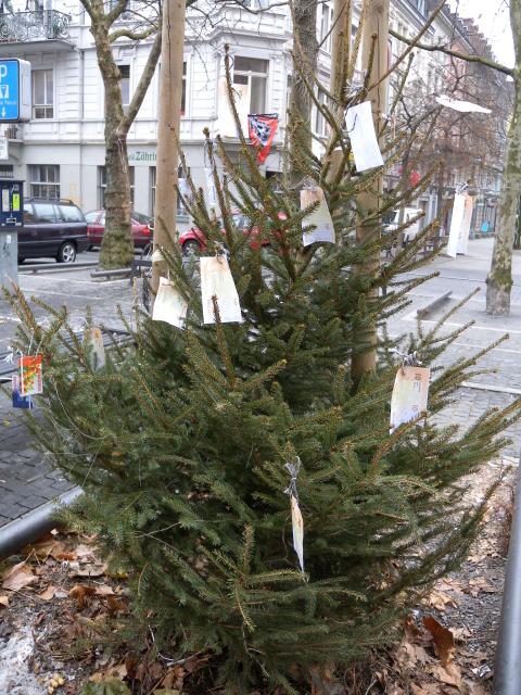 Foto tree-big.jpg