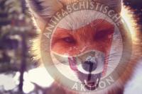Nazis ins Visier nehmen!