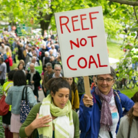 Reef not Coal