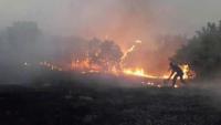 Waldbrände in der Region Lice nach Luftangriffen des türkischen Militärs