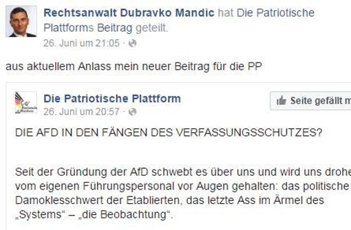 Wirbel um AfD: Die Nähe zum rechten Rand