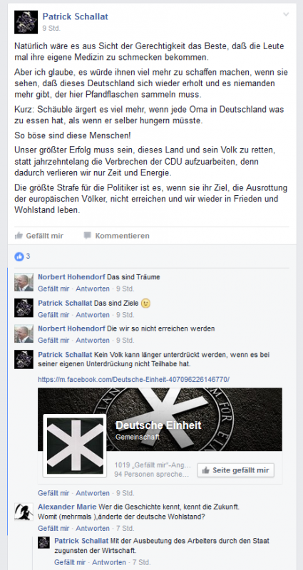 BILD 11: Posting von Schallat aus der Gruppe "Uetersen diskutiert" mit Werbung für seine Seite "Deutsche Einheit"