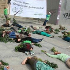 Greenpeace-Aktion, 2012